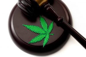 Champaign Defense Attorneys for Marijuana Possession for Alzheimer’s